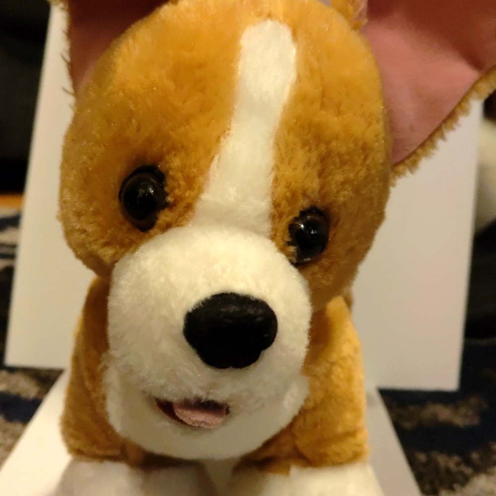 Stuffed animal